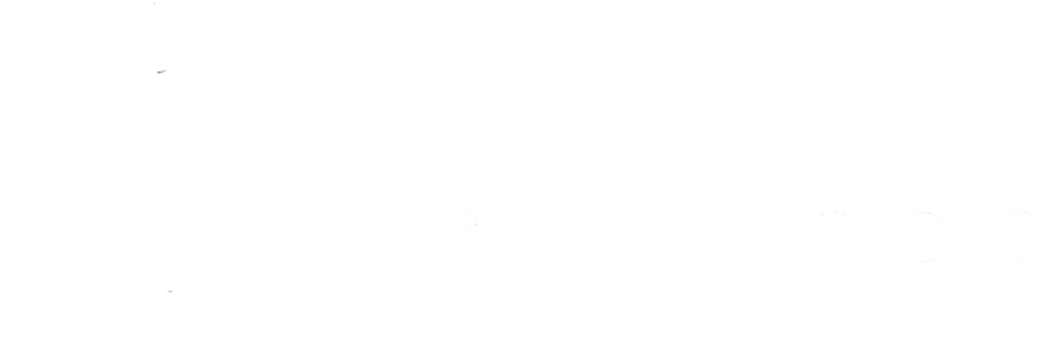 Publisher Logo